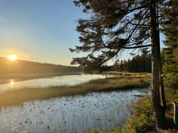 Cabin on Noyes Pond  · Rustic and Stylish Cabin on Stunning Sere